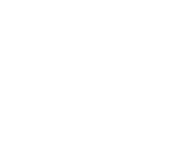 wild idea lab logo